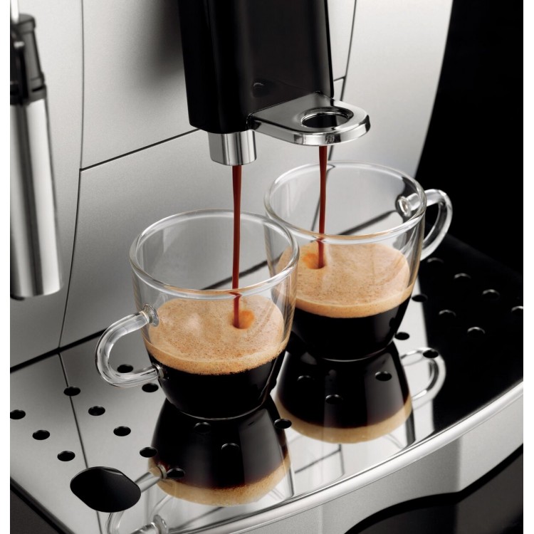 Delonghi ecam 22.110 magnifica best sale